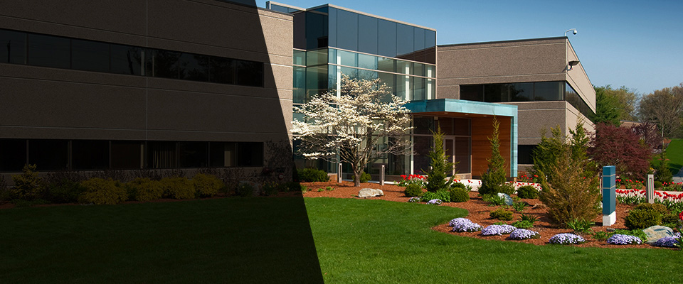Starr Landscapers