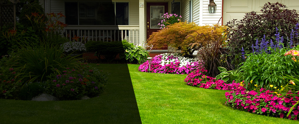 Starr Landscapers