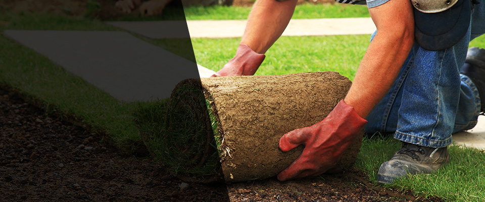 Starr Landscapers